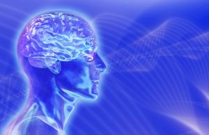 Human brain picture blue background